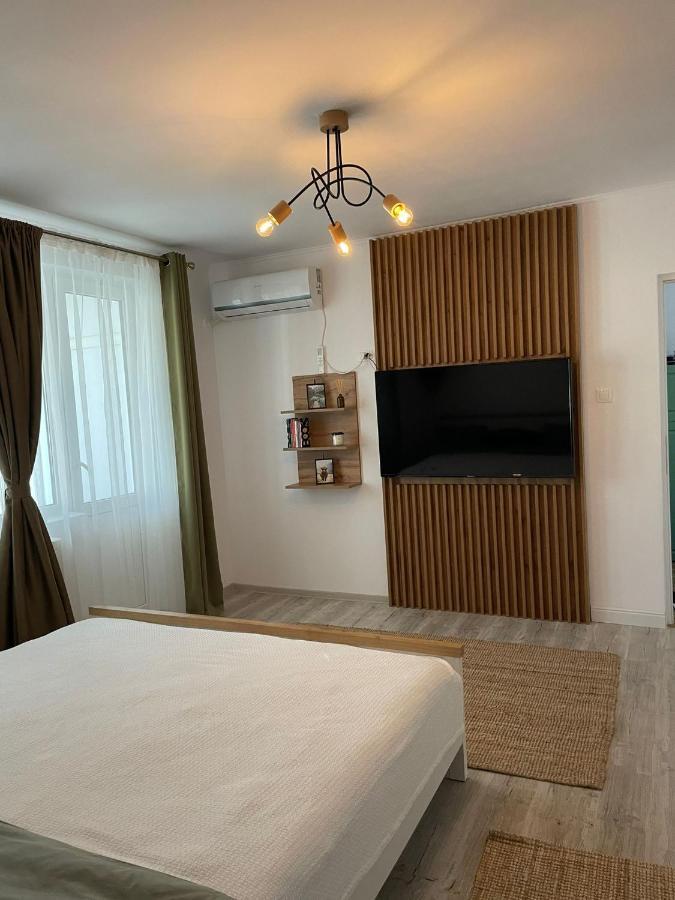 Carol Apartament'S Timişoara Exterior foto